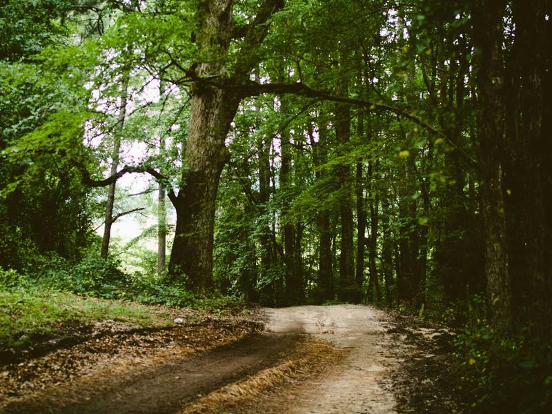 android screenshot 6